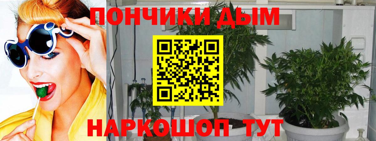Каннабис Bruce Banner Геленджик